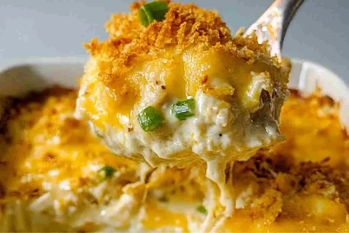 Plated serving of creamy Million Dollar Chicken Casserole with green onions.